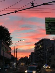横浜の夕日