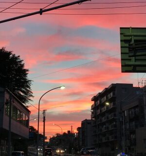 横浜の夕日